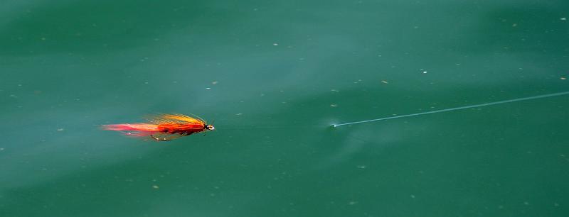 Peche a la mouche a7.JPG